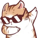 catWswag