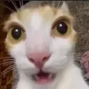 shocked