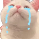 Crycat crycat Discord Emoji