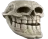 Skulltroll