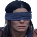 BirdBox_blind