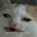 crying Discord Emoji