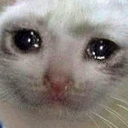 crycat Discord emoji