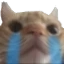 JK_catsob Discord emoji