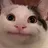 :cat_skeptical: cat_skeptical