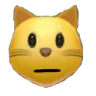 Neutral Cat neutral_cat Discord Emoji