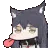 TexLicc