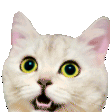 party Discord Emoji