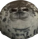 laesORB