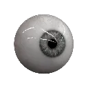 eyeball