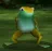 :pogfrog: pogfrog