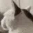 :catsurprised: catsurprised