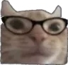 glassescat