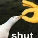 shut