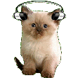 jamkitty Discord Emoji
