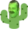 kektus