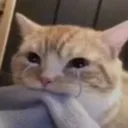 sadcat Discord Emoji