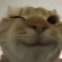 flirtycat Discord Emoji