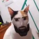 Sigmacat Discord Emoji