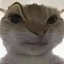 sideeye