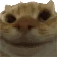 yesyes yesyes