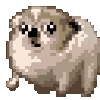 dogworryroll