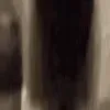 tallSNIFFA3