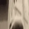 tallSNIFFA1