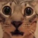shocked