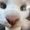 areyoufrrn