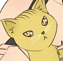 Whiskers