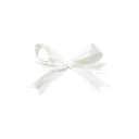 :0newautumn_bow2: