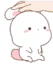 bunnypat