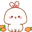 bunnycarots