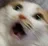 :cat_no: cat_no