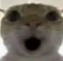 CatPog