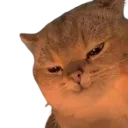 hehehkitty Discord Emoji