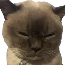 lilP