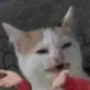 whatisdis
