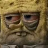 TiredSponge