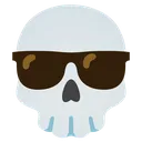coolskull