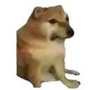 sadcheems