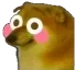 DogeFlushed DogeFlushed