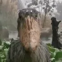 DONOT