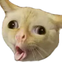 emoji_48