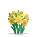 Narcissus