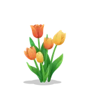 Tulip
