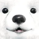 big_bear