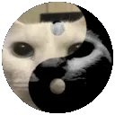 horroryinyangspin