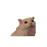 ahsmall